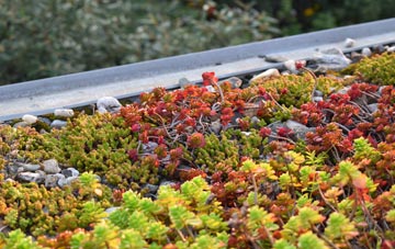 the cost of The Leigh green roof installation