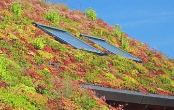 The Leigh living roof systems